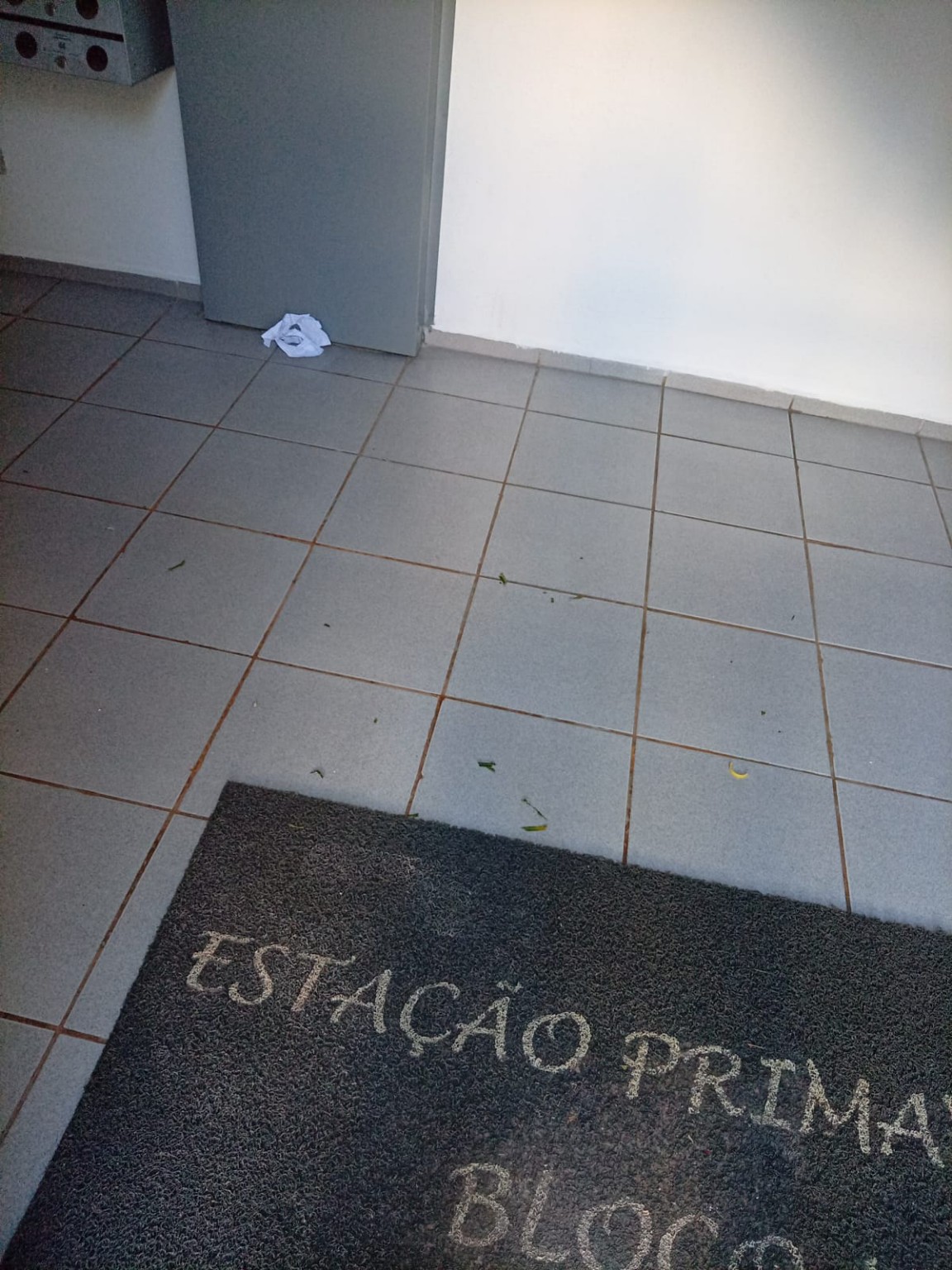 Antes da limpeza